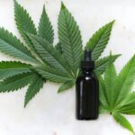 1:1 THC/CBD Tincture 1000mg
