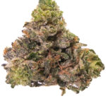 Orange Kush