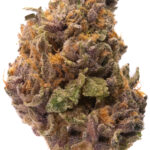 Hindu Kush