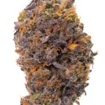Bubba Kings - Bubba God