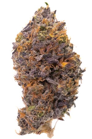 Bubba Kings - Bubba God