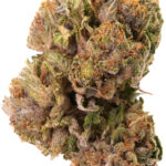 LA Kush