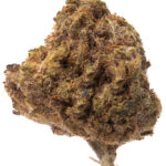 Monkey Butter