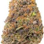 Pink Rockstar