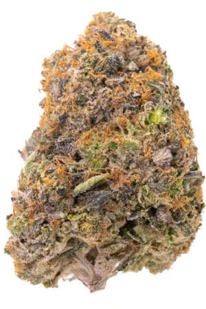 Pink Rockstar