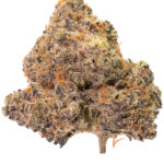 Peyote