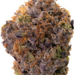 Bubba Kings - Pink God
