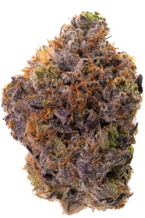 Bubba Kings - Pink God