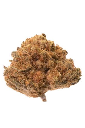 Treasure Island Smalls