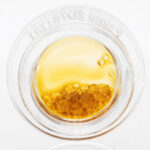 House Full Spectrum Extract - 1g - Gelato 33