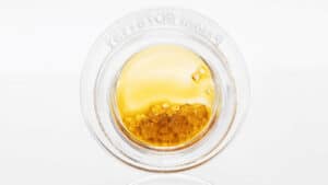 House Full Spectrum Extract - 1g - GMO Pizza