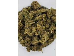 Amnesia - AA - 1 Oz.