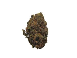 Gorilla Glue - AA - 1 Oz.