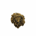 Ghost Train Haze Smalls - AA - 1 Oz.