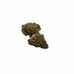 Blueberry Donuts - AA - 1 Oz.